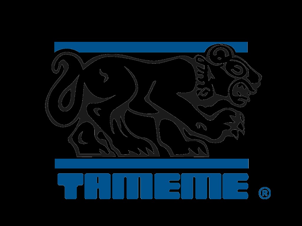 Tameme